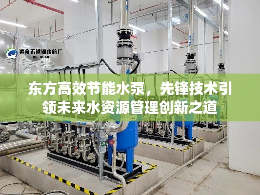 东方高效节能水泵，先锋技术引领未来水资源管理创新之道