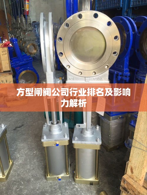 方型闸阀公司行业排名及影响力解析