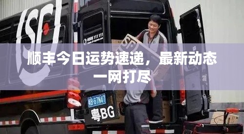 顺丰今日运势速递，最新动态一网打尽