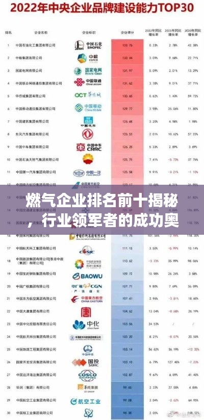 燃气企业排名前十揭秘，行业领军者的成功奥秘探索
