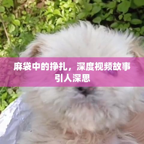 2025年6月 第8页