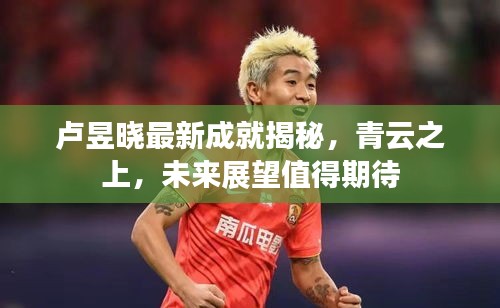 卢昱晓最新成就揭秘，青云之上，未来展望值得期待
