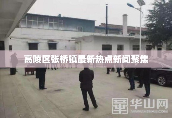 高陵区张桥镇最新热点新闻聚焦