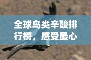 全球鸟类辛酸排行榜，感受最心酸的鸟类故事！