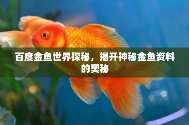 百度金鱼世界探秘，揭开神秘金鱼资料的奥秘
