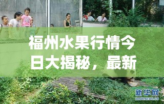 福州水果行情今日大揭秘，最新市场动态速递