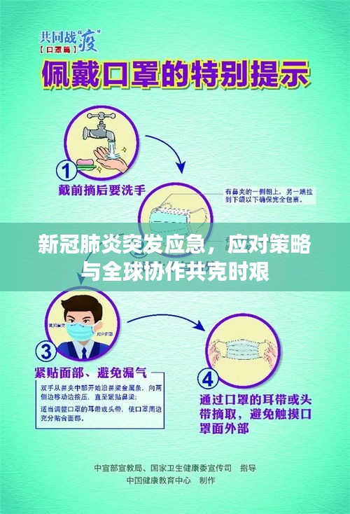 新冠肺炎突发应急，应对策略与全球协作共克时艰